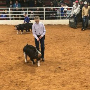 Meet your Posher, Karlee